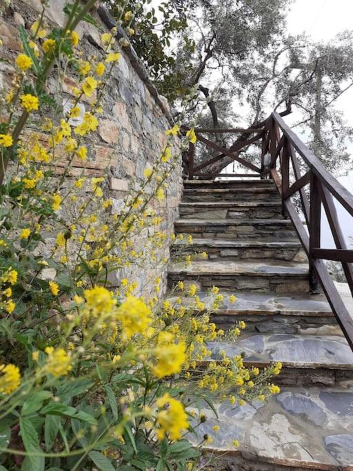 Limnionas Sunview Villa Xorychti Luaran gambar